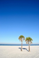 最爱的那人，成了别人的爱人