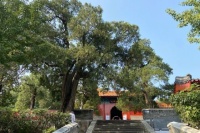 北京有个令人啧啧称奇的景点，名称令人遐想，拥有叹为观止文物