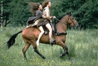 《勇敢的心》：无论遇到任何事，怀着一颗勇敢的心，一切都会好的