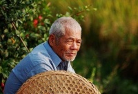 俗语“床不离七，棺不离八，桌不离九”啥意思，讲得太有道理了