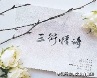 第四届征文大赛 | 三行情诗