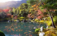 真诚的人才能把知己结交，真诚的心才能让感情牢靠