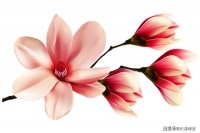 大洋诗歌：这座城市，我的灵魂到达不了身体的居所