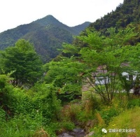 宣纸身世刍议（下）