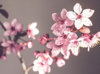 寒青子衿：性与死亡｜阅读时光