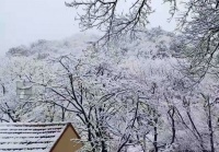 崂山初雪如仙境，银装素裹分外美