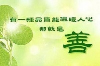 你眼中的善良，究竟是一种什么样的品质？