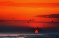 退休谣（2020.01.15）