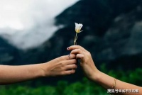 情靠人善待，心靠人交换