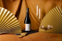 有一种女人叫做弗利欧女人为什么喝弗里欧SURFRIO的女人更迷人？