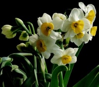 哪3个月出生的人，大人有大量，能容人错误，机遇和贵人来不断