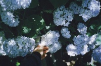 如今不同年龄段的取舍，你是如何做的