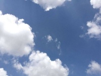 从阳台往外看 | 龚怡