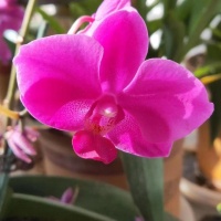 时光静语，往事如花