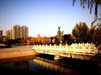 夕阳是晚开的花（诗四首）