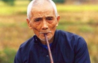 俗语：“千年的王八万年龟”，下半句更经典，可能你还不知道！