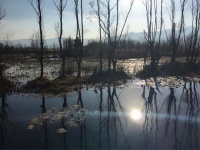 乡愁如雪/赵寅辰