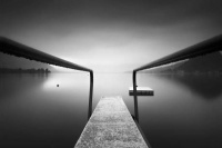 季羡林：自命天才的人有时就是害群之马