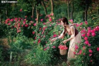 恋恋红尘，谁是你的期盼？