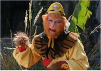 孙悟空到底是什么身份？是和尚还是道士？红鳞大蟒的事说明啥？