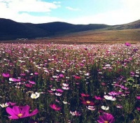 活成什么样子，你自己决定