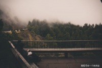 人生，何尝不是在寻找？寻找自己，寻找意中人，愿都能找到好归宿