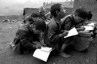 锋朔：念书的孩子（诗歌）｜河南青作协