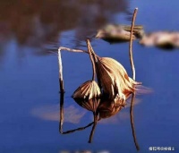 【美文悦读】风是父亲的苦难