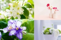 你不勇敢，没有人替你坚强