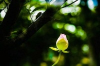 哲理小诗: 人到中年