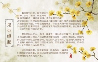 【打坐见证】眼所见的都是假象吗？月光菩萨教我如何观心