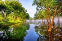 原创散文:秋是一种轮回的开始