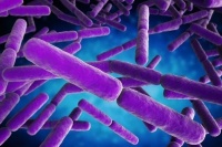 养生，无为自得，体妙心玄，忘欢而后乐足