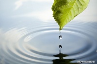 明证法师开示：师父第八识可以分成很多份轮回吗