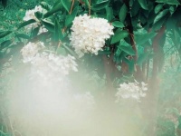 伴读 | 做人，不要去怪任何人！