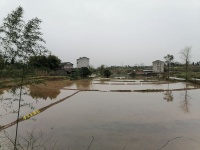 李文全随拍：冬水田的宁静，与一声犬吠呼应