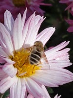 八分倾听，二分开口（源于网络，节选）