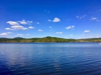 词作家飓宝人先生出售知识产权为振兴吉林再出一把力