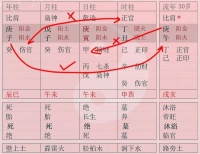分析八字时为什么要天干的看天干，地支的看地支？
