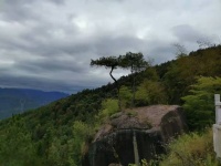 读斯坦福心理学教授欧文亚隆书籍：不要让人性的东西和我们疏离