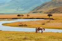 心中有秋意，人间又逢秋——最美仲秋