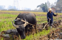 俗语：头无脑油脚无汗，到老都是穷光蛋，古人的识人经验，有理吗