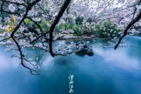 我在烟雨江南等你归来，雨巷依旧，岁月刚好，爱你如初