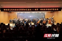 高雅艺术不高冷 “圆梦——湖南图书馆新年音乐会”长沙举行