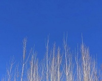 写在书边上         写自己就无耻吗