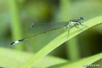 最长久的幸福，来自平淡的日子，来自宁静的心境