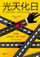 光天化日epub+mobi+azw3+pdf