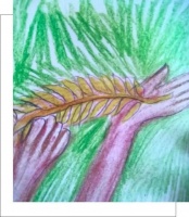 一起读诗 · 如果