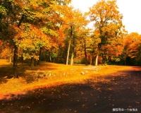 我有很多话想对你说，譬如，往后余生都是你，余生请指教