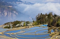 安抚造句和解释_安抚的例句有哪些 -